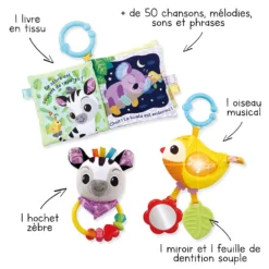 VTECH BABY Coffret Naissance Bébés Animaux -VTech Jouets Soldes Magasin 80 562505 visuel fleches